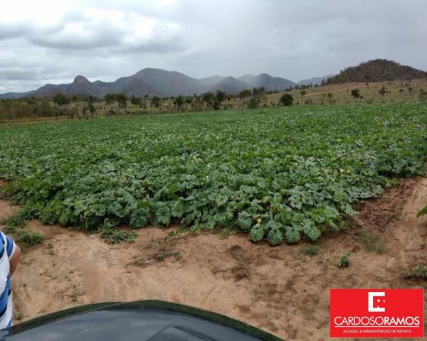 Sítio à venda em Ruy barbosa, Itaberaba cod:FA00004 - Foto 5