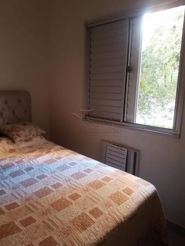 Apartamento para alugar com 3 dormitórios em Ipiranga, Ribeirao preto cod:L12436 - Foto 2