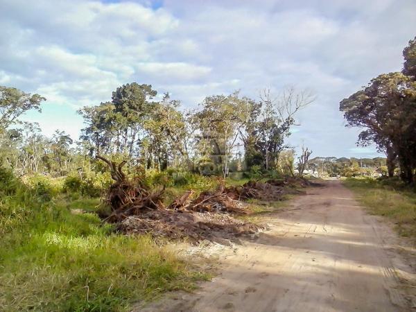 Terreno à venda em Cohapar, Guaratuba cod:125331 - Foto 11