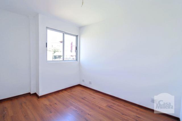 Apartamento à venda com 4 dormitórios em Jardim américa, Belo horizonte cod:251850 - Foto 8