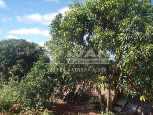 Terreno para alugar com 0 dormitórios em Presidente roosevelt, Uberlândia cod:303091 - Foto 3
