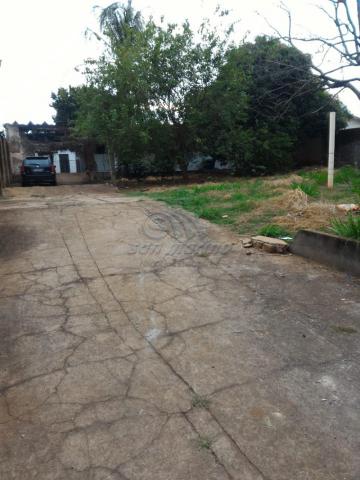 Casa para alugar com 3 dormitórios em Vila santa tereza, Jaboticabal cod:L3304 - Foto 19