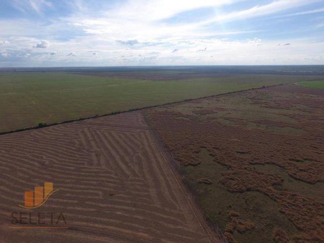 Fazenda à venda, 12650000 m² por r$ 16.000.000 - vila rica - barreiras/ba - Foto 8
