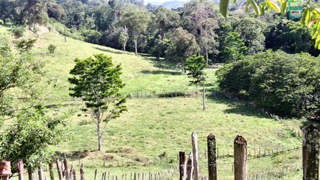 Ubaitaba. Fazenda de 78 Hectares, toda arrumada com infraestrutura e produção. - Foto 8