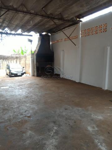 Casa para alugar com 3 dormitórios em Vila santa tereza, Jaboticabal cod:L3304 - Foto 5