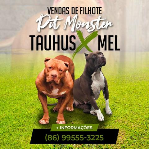 Pitmonster