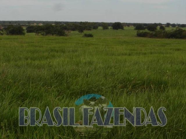 Fazenda em Barreiras. Oeste da Bahia - Foto 15