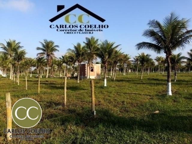 CMG Cód -138 Excelentes Terrenos Próximo ao Trevo de Búzios - Foto 8