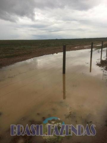 Fazenda em Barreiras. Oeste da Bahia - Foto 4