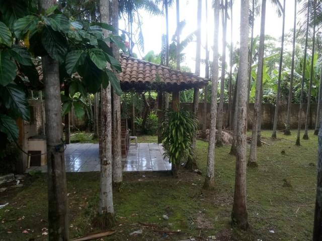 197 - Belíssimo sitio Situado No Jardim Neópolis Venda R$200.000,00 - Foto 7