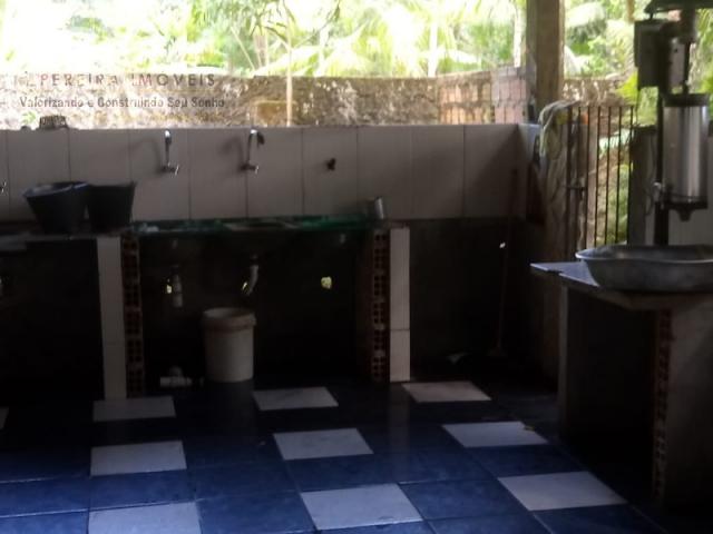 197 - Belíssimo sitio Situado No Jardim Neópolis Venda R$200.000,00 - Foto 10
