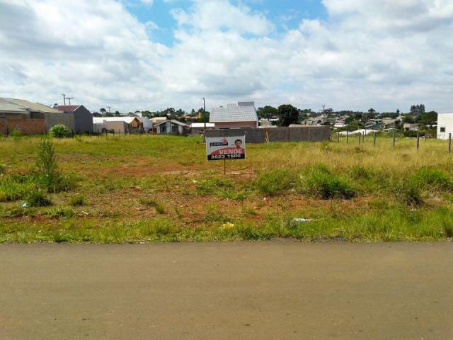8287 | terreno à venda em vila bela, guarapuava - Foto 2