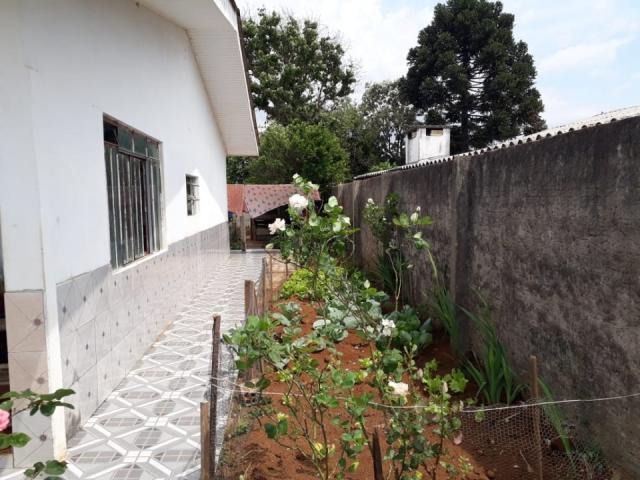 8287 | terreno à venda em vila bela, guarapuava - Foto 2