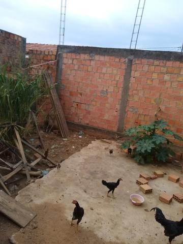 Lote Bem Localizado - Foto 3