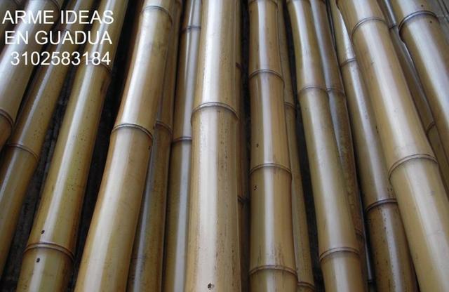 Bambu cana da índia de 4 cm a 5 cm de diâmetro - Foto 3
