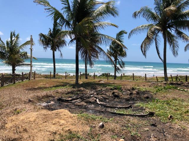 Excelente Lote 16X40 beira-mar, Porto de Galinhas Ipojuca/PE - Brasil - Foto 9