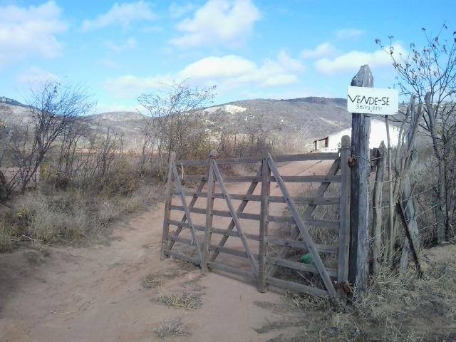 Vendo terreno Sitio Estrago - Foto 4