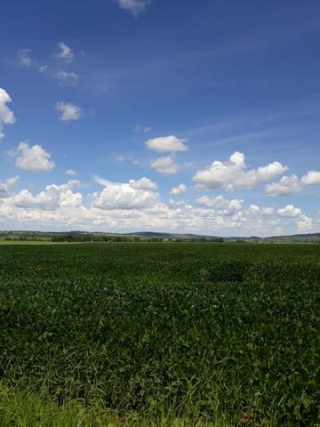 Fazenda Agrícola em Palminopolis-GO. 50 Alq. c/ 30 em Lavoura