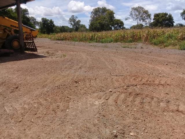 Fazenda Boa de Terra em Cocalinho - MT - Foto 17