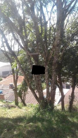 Bom para construir