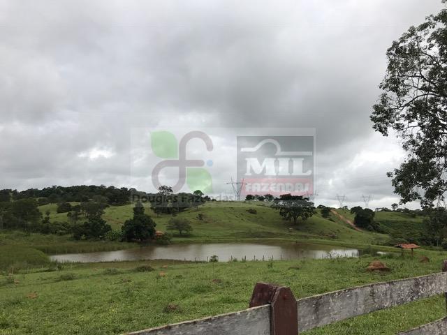 220 Alq. (Plana + Asfalto + Rio). 70 km de Goiânia - Foto 13