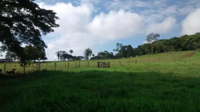 100 Alq. Cultura | Margem Lago | 78 km de Goiânia. R$ 15 Milhões - Foto 3