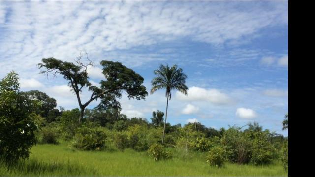 726 Há Alô Brasil - MT. Barata > 2,5 Milhões > 50% Permuta