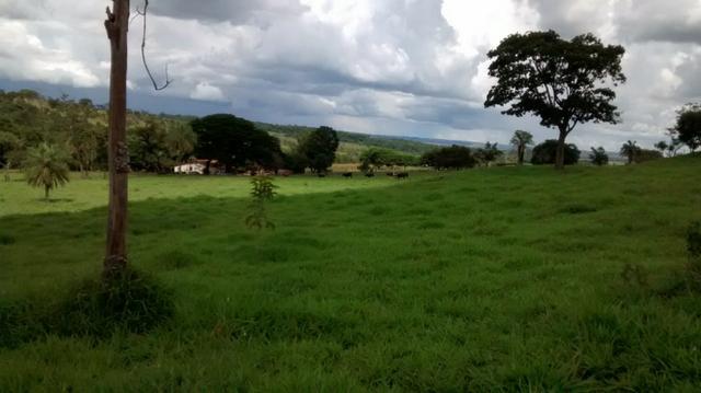 100 Alq. Cultura | Margem Lago | 78 km de Goiânia. R$ 15 Milhões - Foto 4