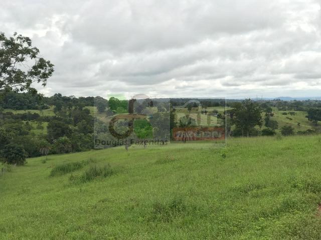 220 Alq. (Plana + Asfalto + Rio). 70 km de Goiânia - Foto 8