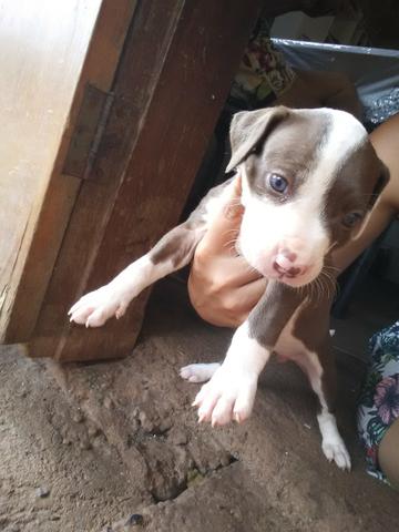 Vendo ou troco - Foto 6