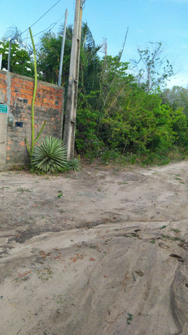 Lotes Panaquatira - Foto 3