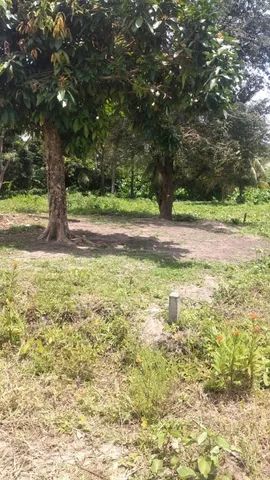 TERRENO PARA VENDER EM PAULISTA - Foto 2