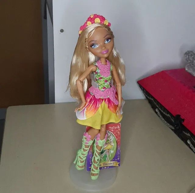 Ever After High dolls  Ever after high, Bonecas, Bonecas bonitas