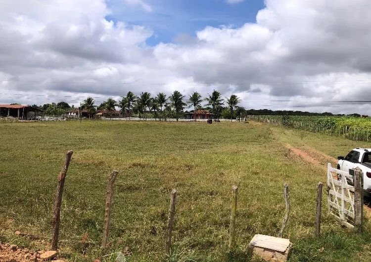 foto - Arapiraca - Baixa Grande