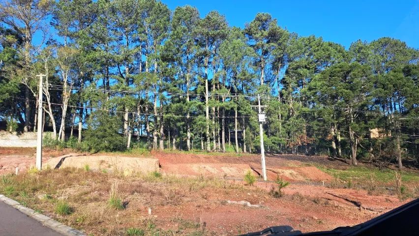 Terreno Em Condom Nio Fechado M Terrenos S Tios E Fazendas Campina Grande Do Sul