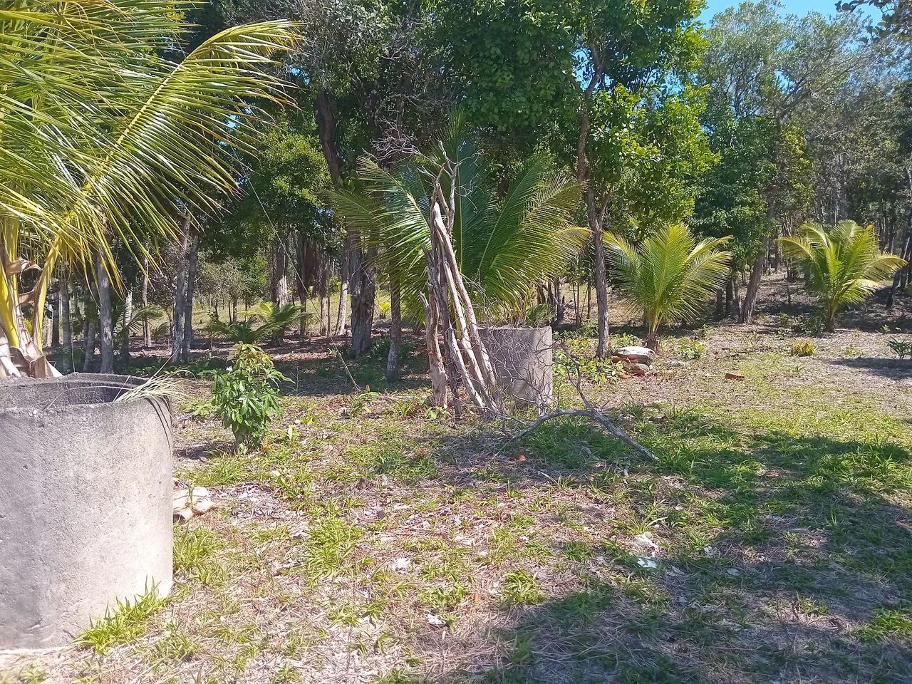 Vendo Sítio 4.3 Hectares  - Foto 2