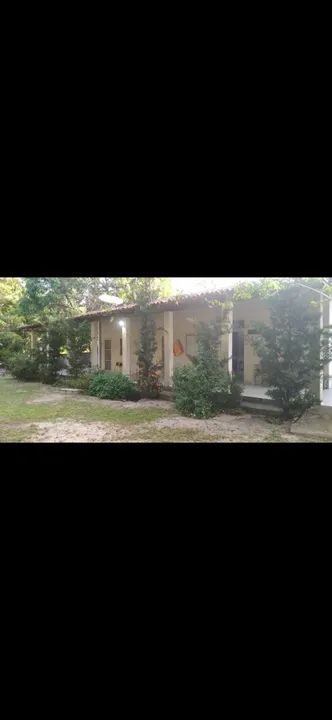 Chacara para Eventos e Temporadasas - Foto 5