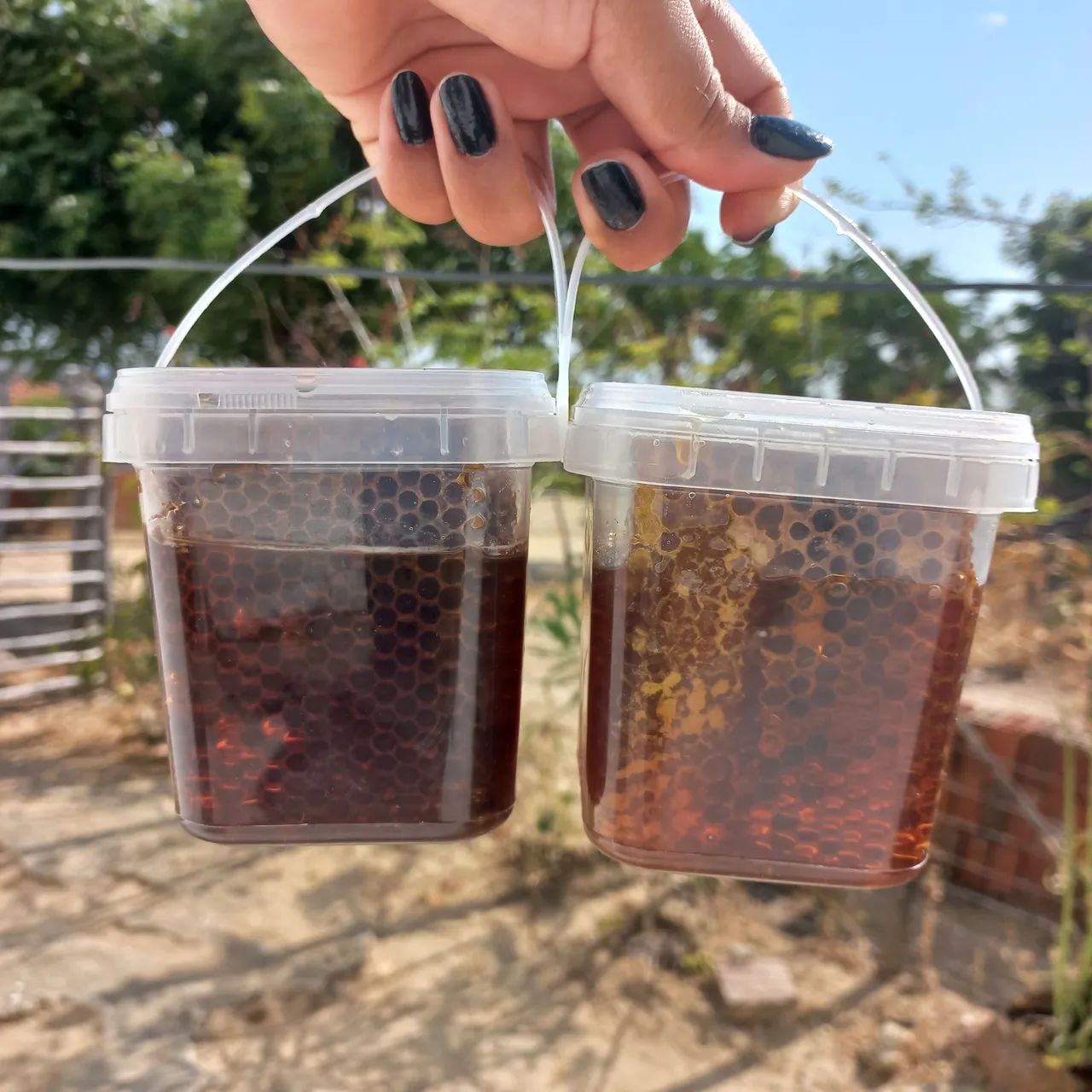 Mel de Abelha Puro -  potes de 500ml