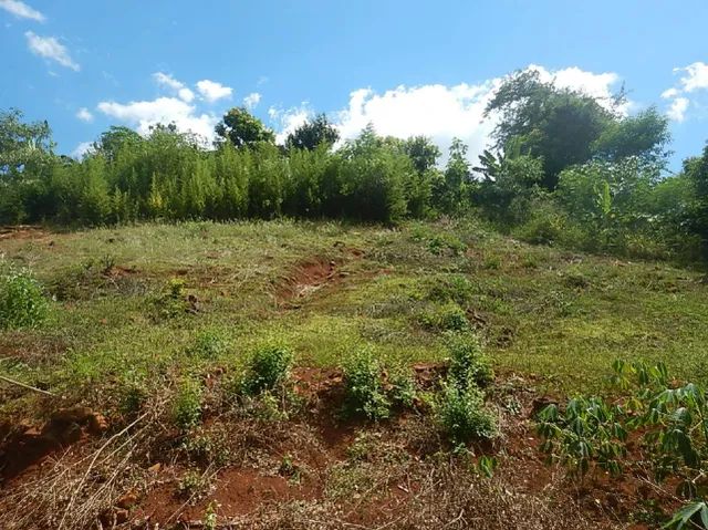 Venda dos lotes da (AABB) Roncador (PR) - Foto 2