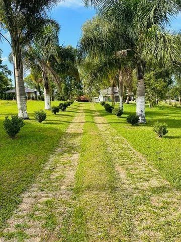 Foto - Curitiba - Capão Raso