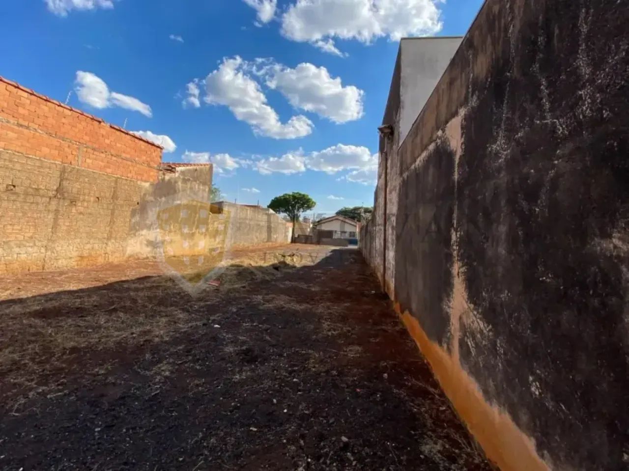 Terreno Padrão Murado e com Portão - Foto 4