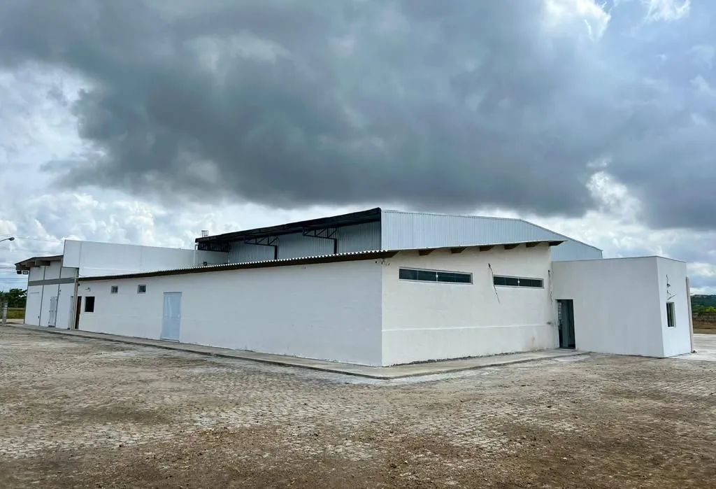 ALUGO GALPÕES NA BR 116 SUL - Foto 4