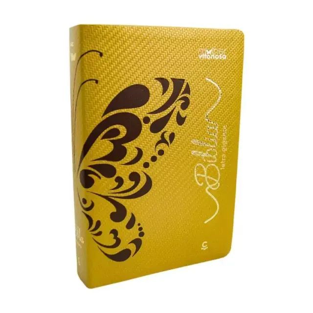 Biblia mulher vitoriosa