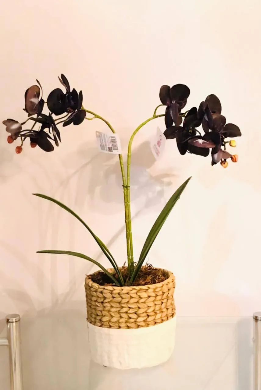 Plantas Decorativas Artificiais com Vasos Estilosos - Prontas pra Decorar - Foto 6