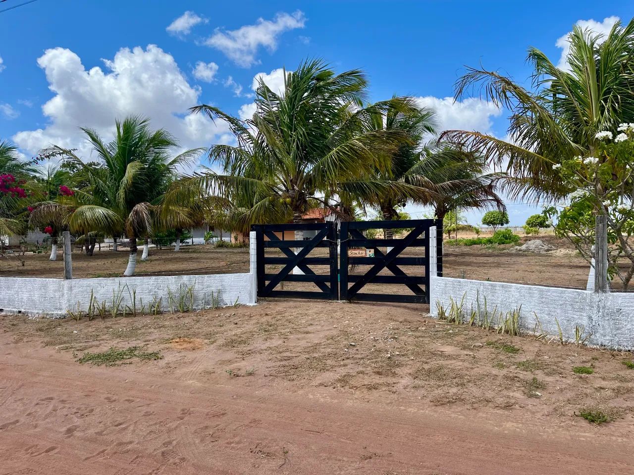 Foto - Ceará-Mirim - 