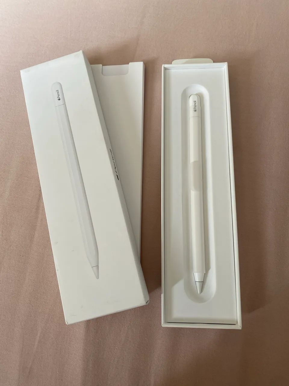 Apple Pencil (USB-C)箱入り Apple Pencil（USB-C）[整備済製品] - Apple（日本）