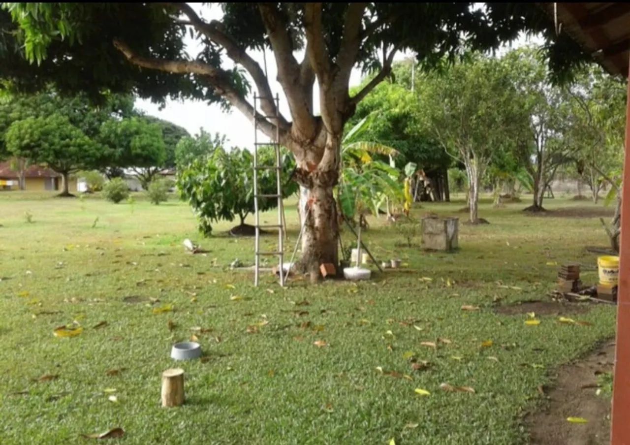 TERRENO EM PARINTINS-AM  - Foto 6