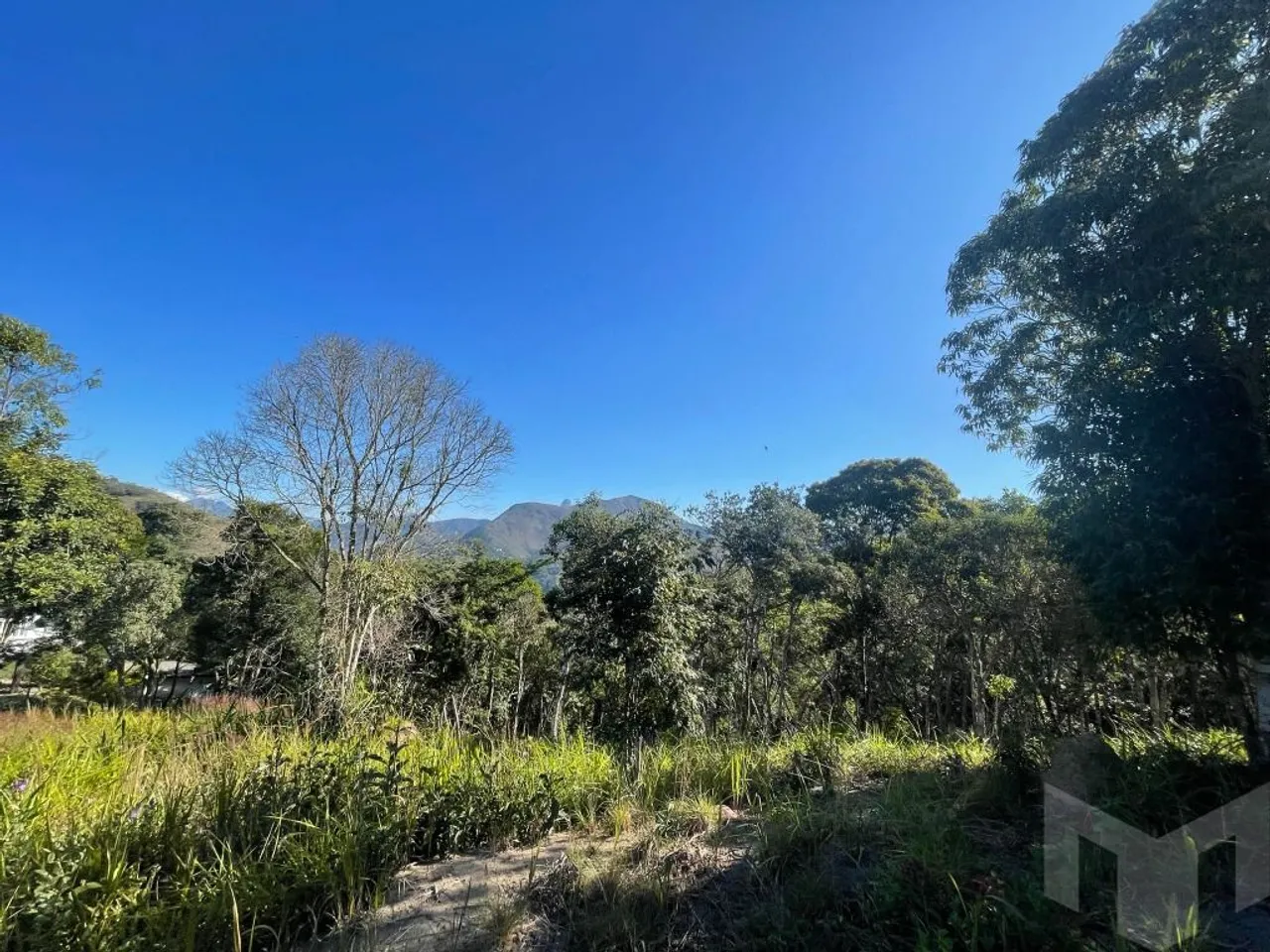 Terreno em condomínio bem arborizado e em local sossegado em Itaipava