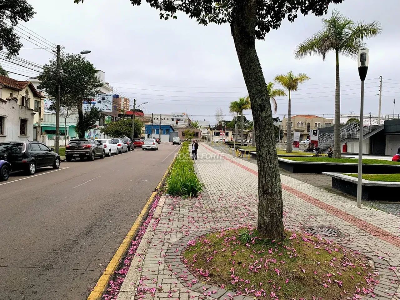 Terreno comercial com área privativa de 612m² - Bairro Água Verde - Curitiba/PR - Ref: TE0 - Foto 5