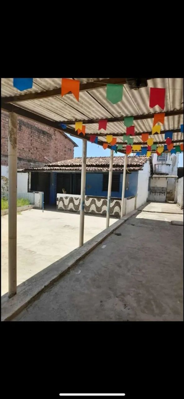 Foto - Paulista - Pau Amarelo